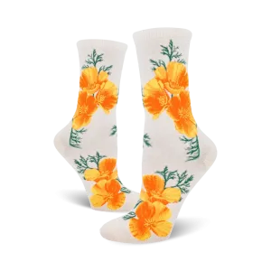 California Poppy