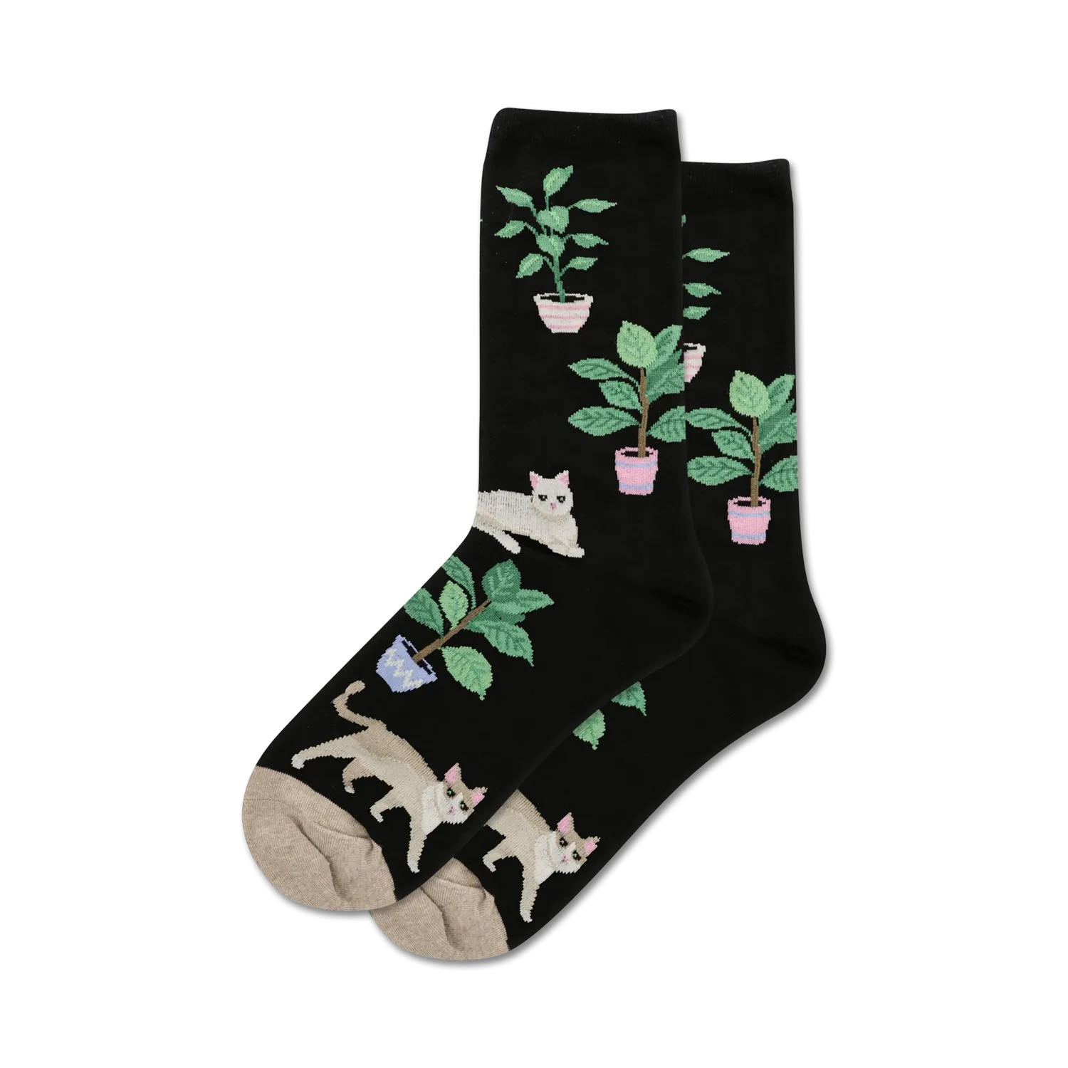 Cats and Plants