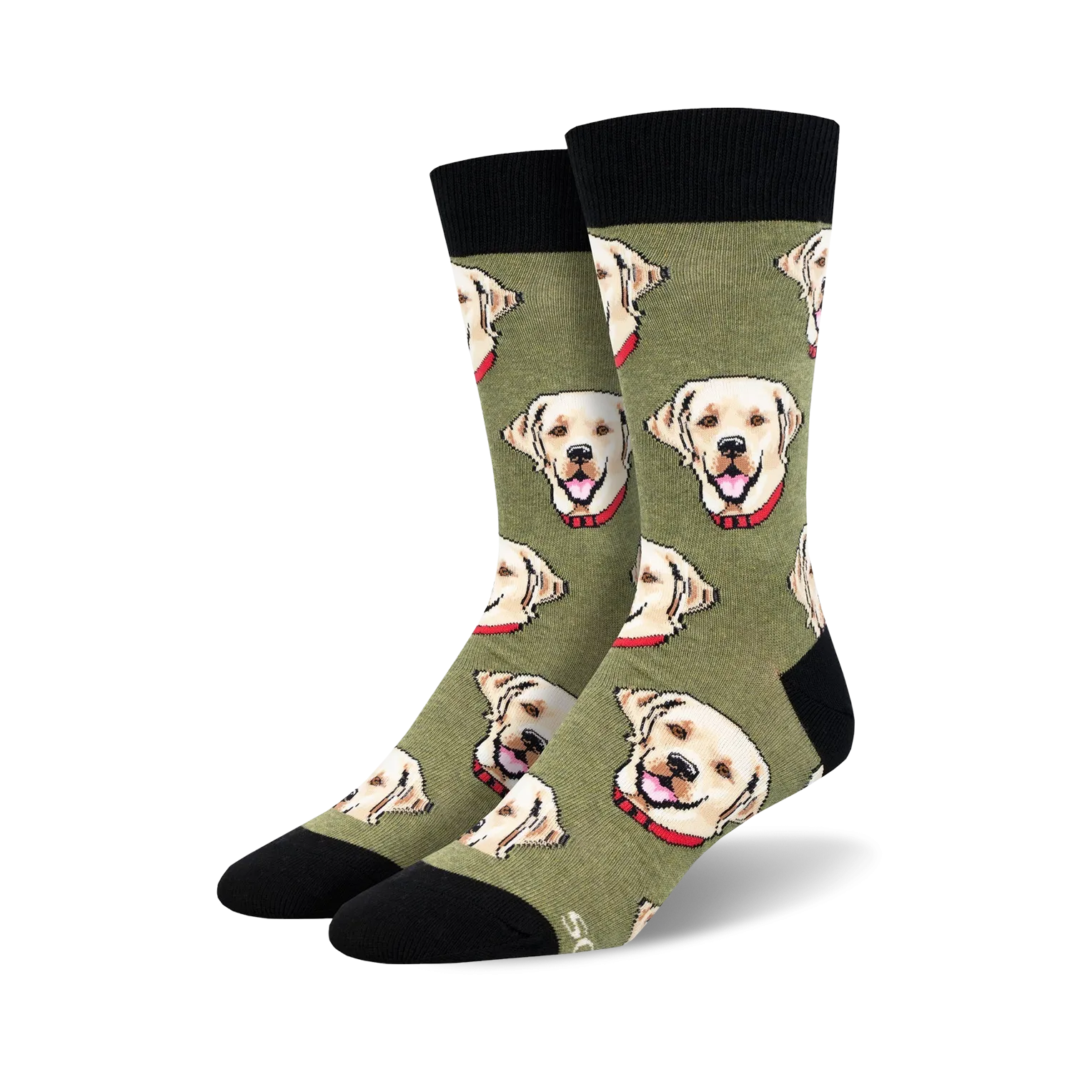 Labrador