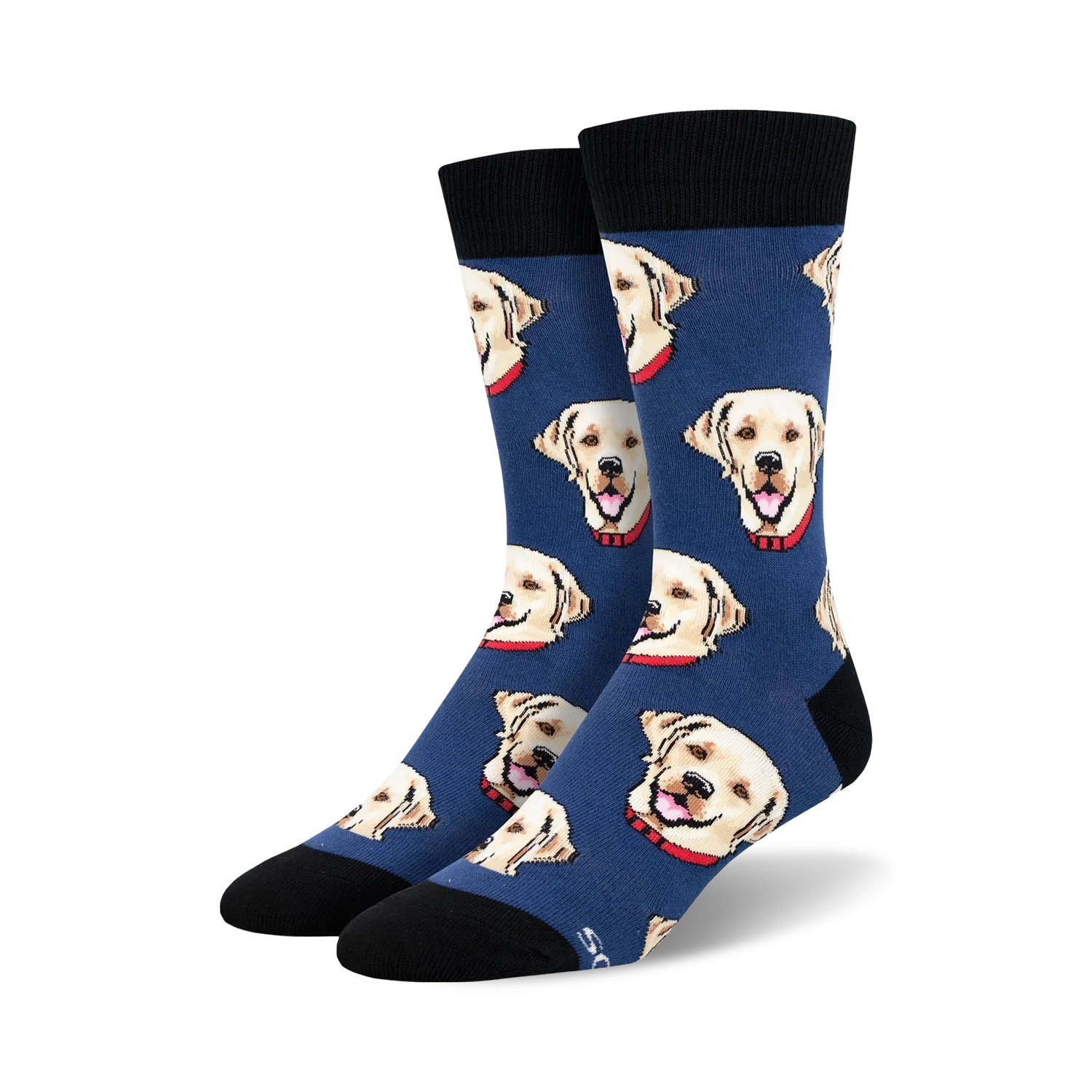 Labrador