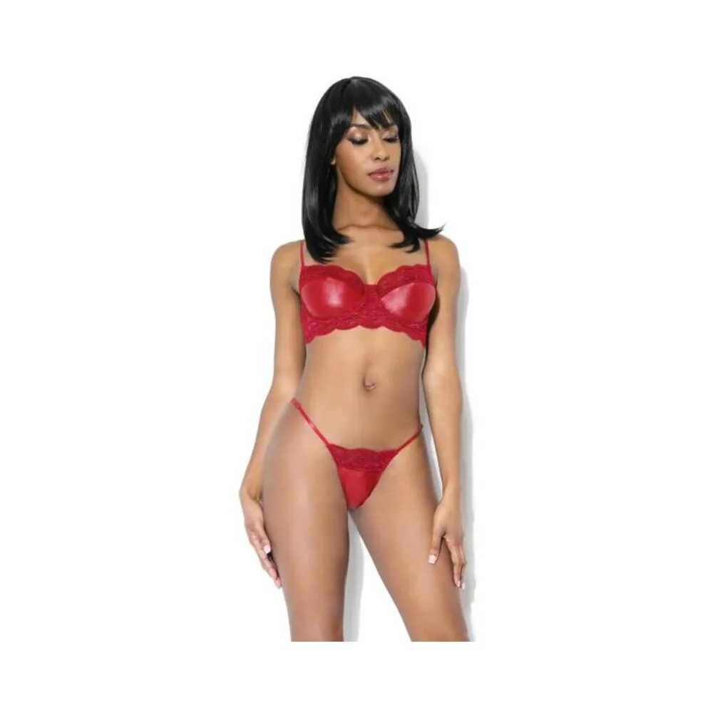 Lace And Matte Wetlook Bra And G-string Merlot S/m Hanging