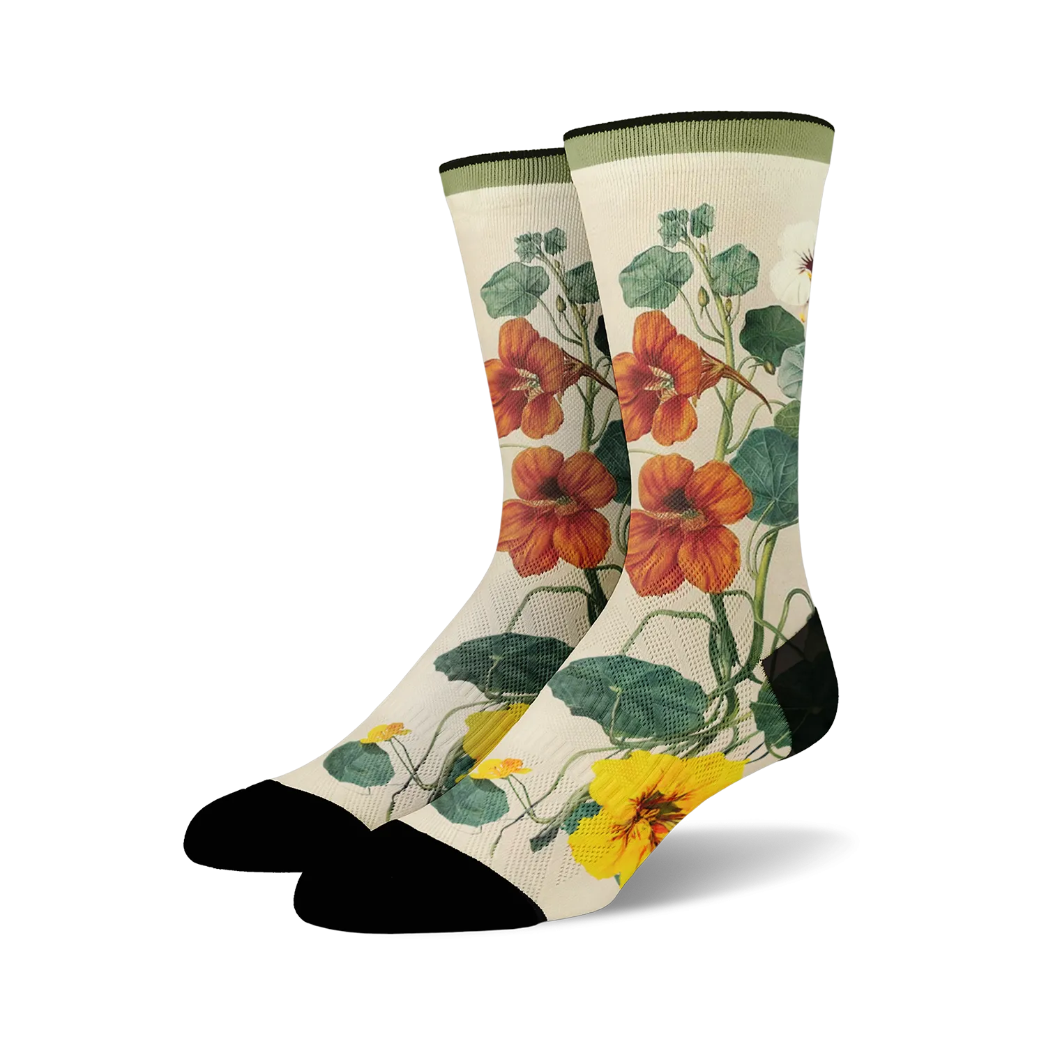 Nasturtium